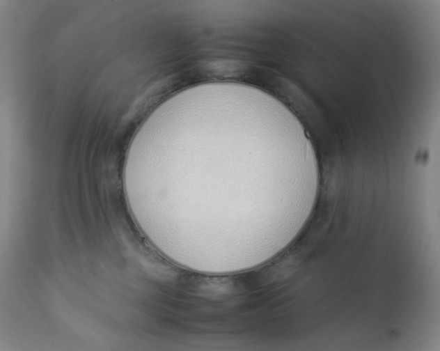 X0000112170377200909041157