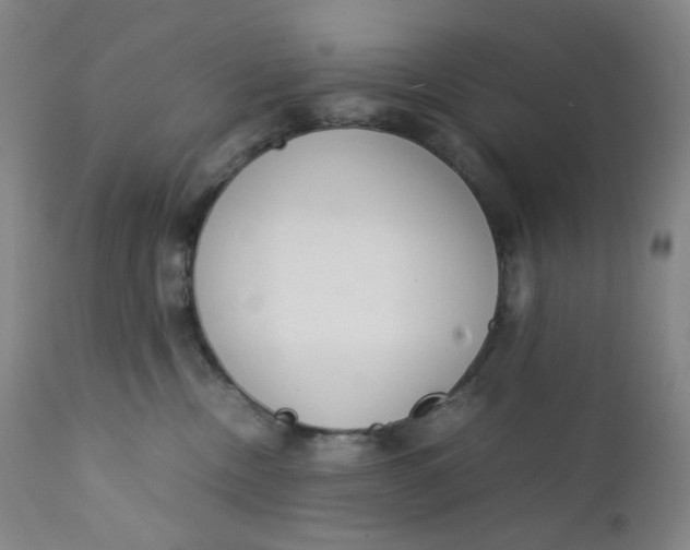 X0000112170378200909041157