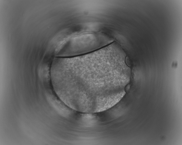 X0000112170380200909041157