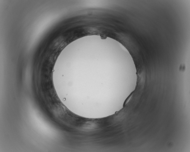 X0000112170381200909041157