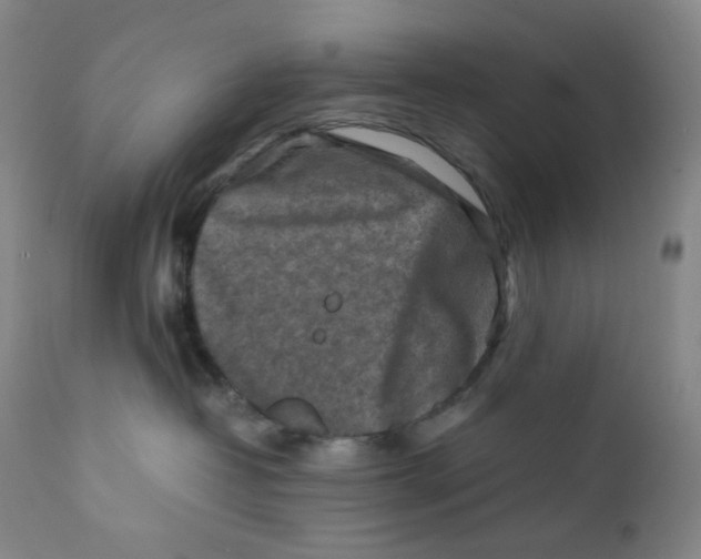 X0000112170382200909041157