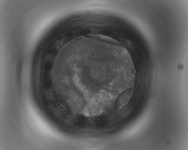 X0000112170383200909041157