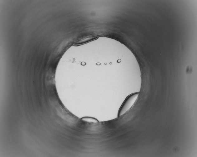 X0000112170384200909041157