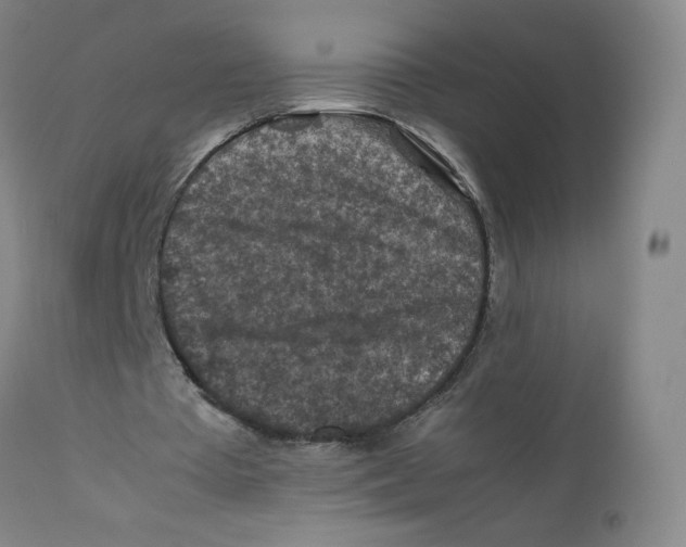 X0000112170385200909041156