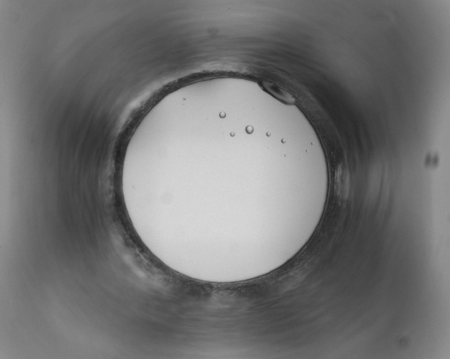 X0000112170388200909041156