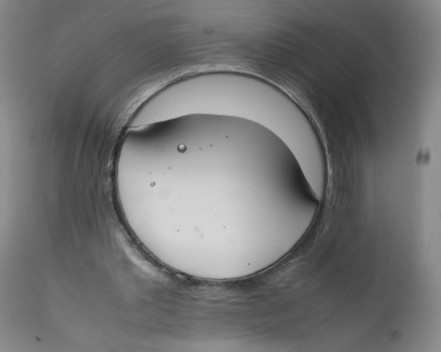 X0000112170389200909041156