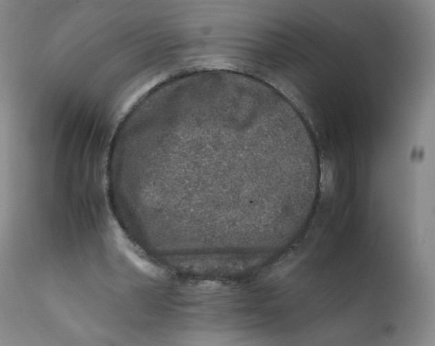 X0000112170390200909041156