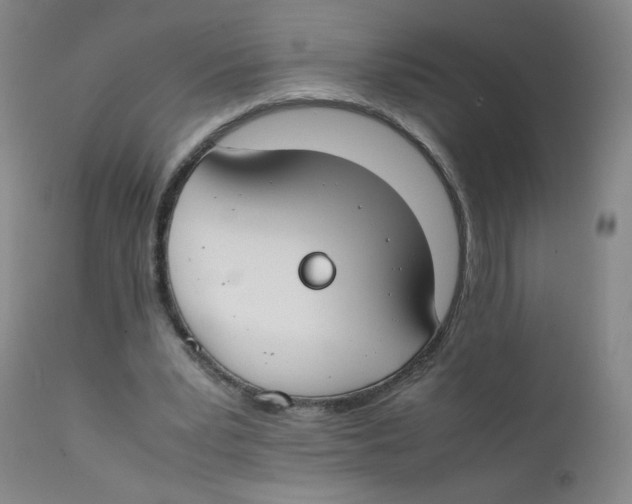 X0000112170391200909041156