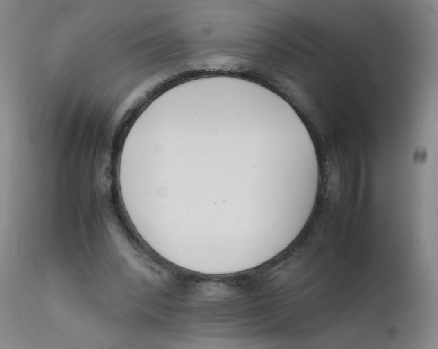 X0000112170392200909041156