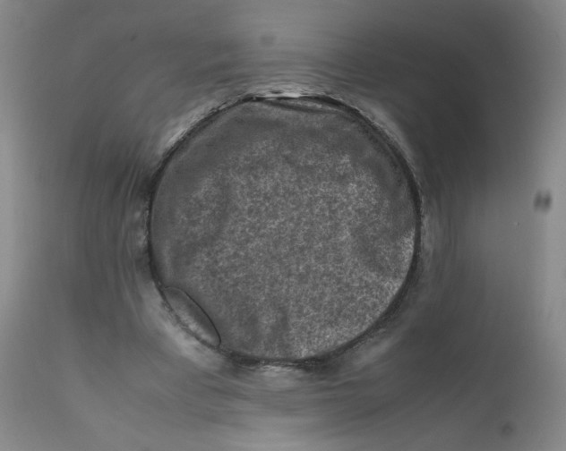 X0000112170393200909041156