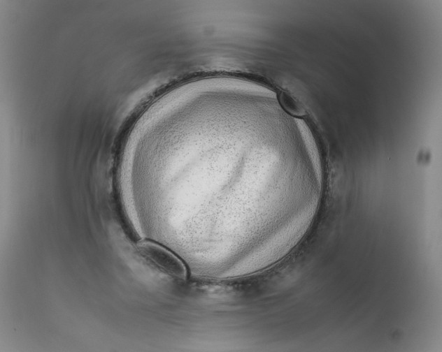 X0000112170395200909041156