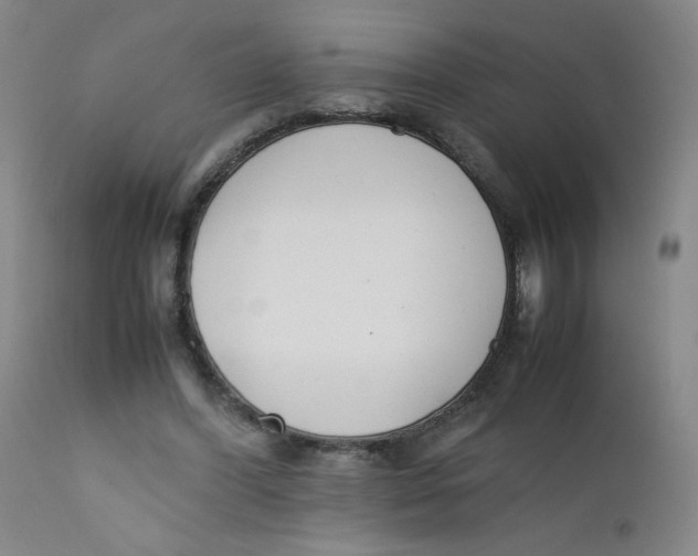 X0000112170396200909041156