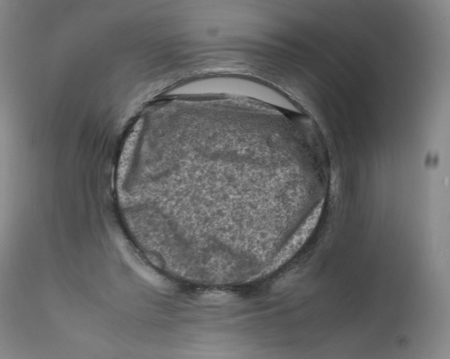 X0000112170397200909041156