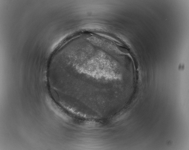 X0000112170399200909041156