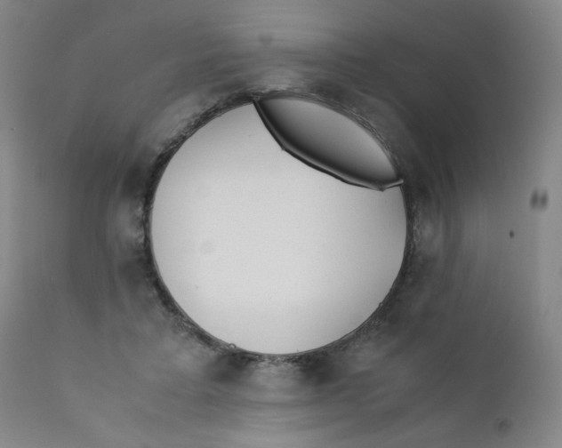 X0000112170403200909041156