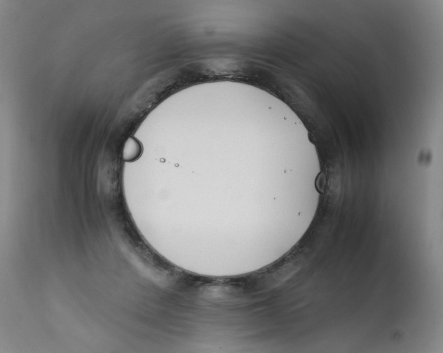 X0000112170408200909041156