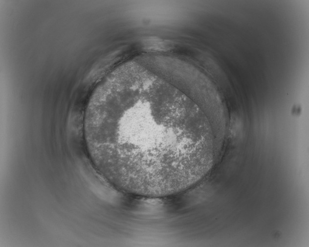 X0000112170409200909041156