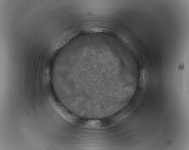 X0000112170410200909041156