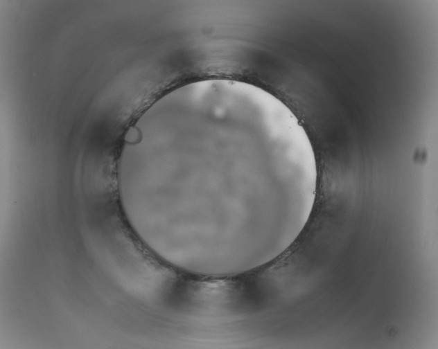 X0000112170411200909041156