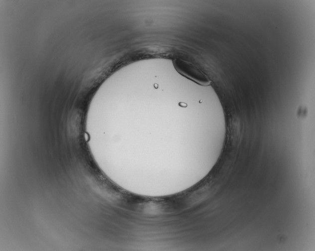 X0000112170412200909041156