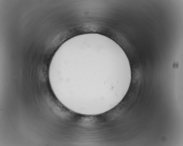 X0000112170414200909041156