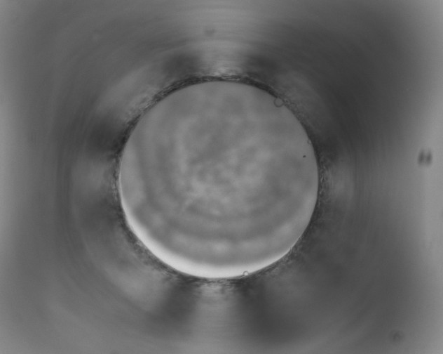 X0000112170415200909041156