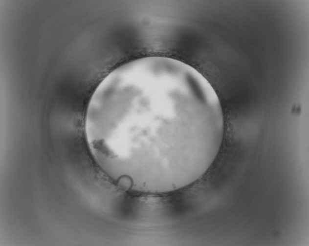 X0000112170419200909041155