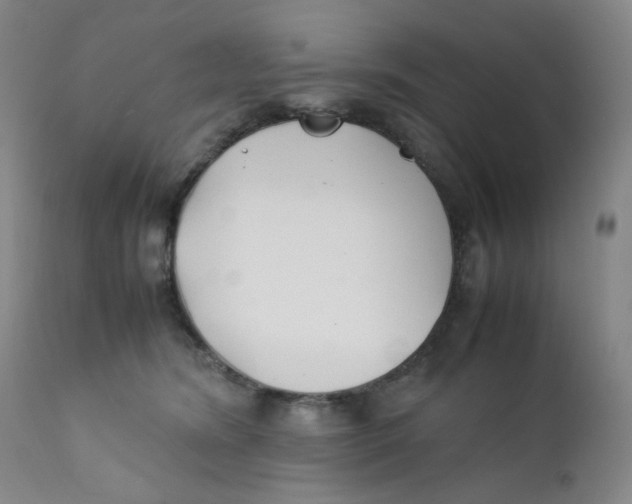 X0000112170420200909041155