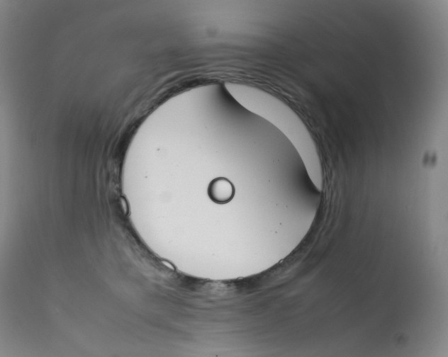 X0000112170421200909041155