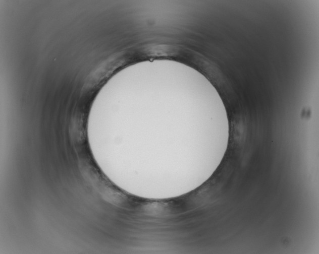 X0000112170422200909041155