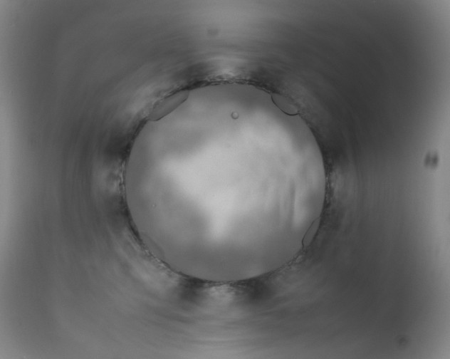 X0000112170423200909041155