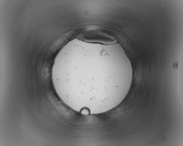 X0000112170424200909041155