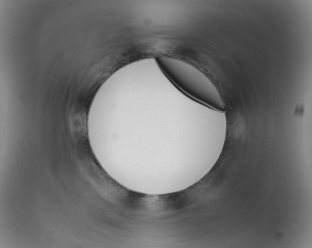 X0000112170425200909041155