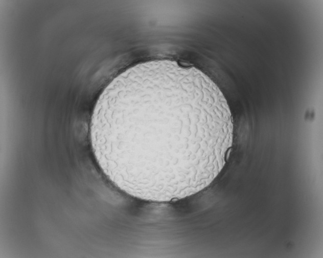 X0000112170427200909041155