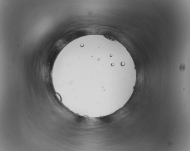 X0000112170429200909041155