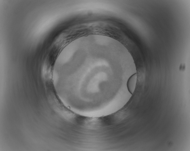 X0000112170431200909041155