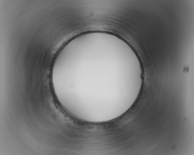 X0000112170434200909041155