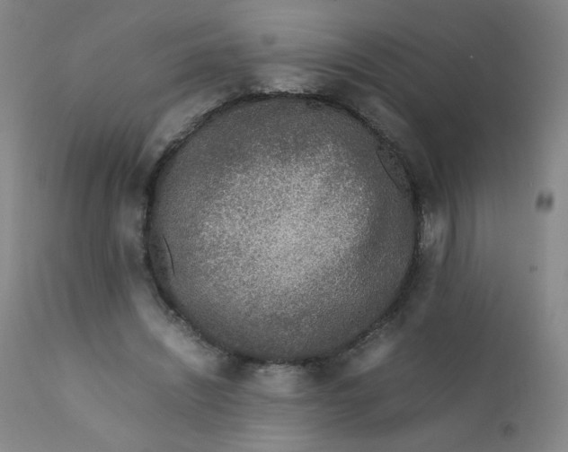 X0000112170444200909041155