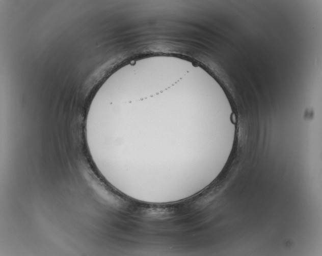 X0000112170445200909041155