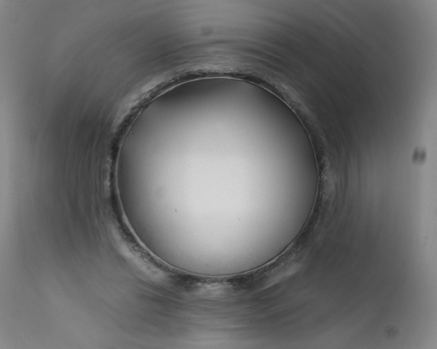 X0000112170446200909041155