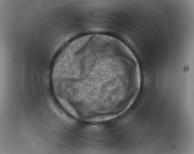 X0000112170447200909041155