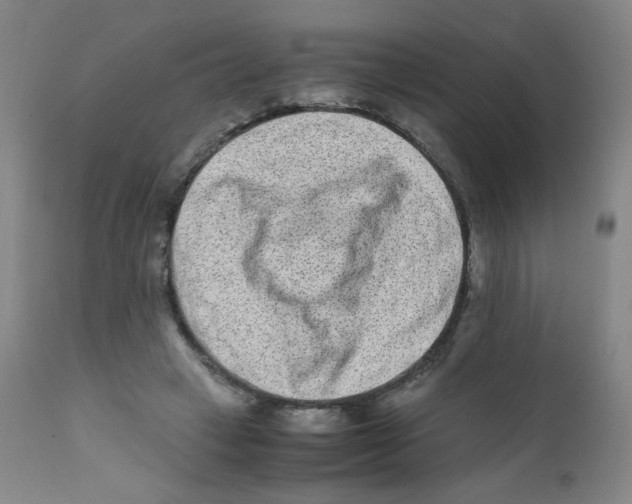 X0000112170449200909041155