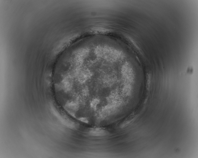 X0000112170451200909041155