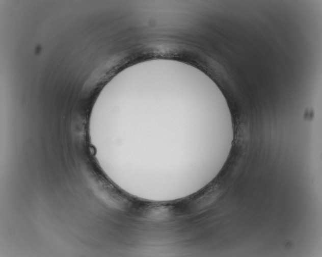 X0000112170456200909041155