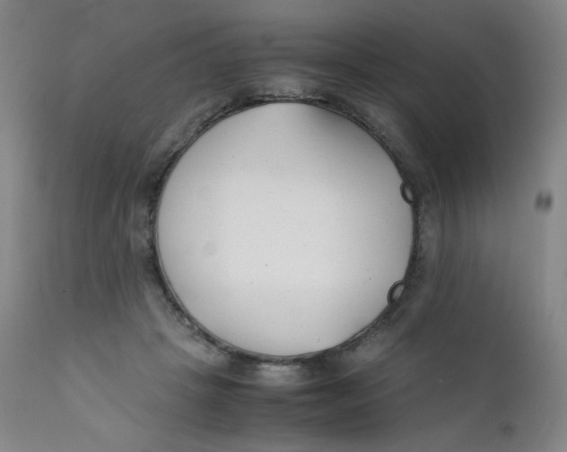 X0000112170457200909041155