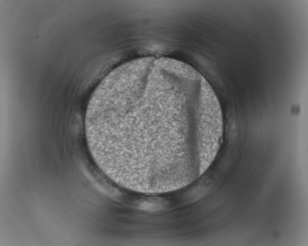 X0000112170459200909041155