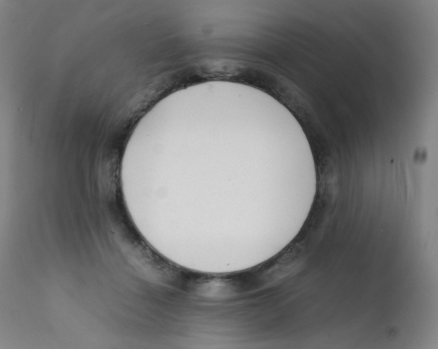 X0000112170460200909041155