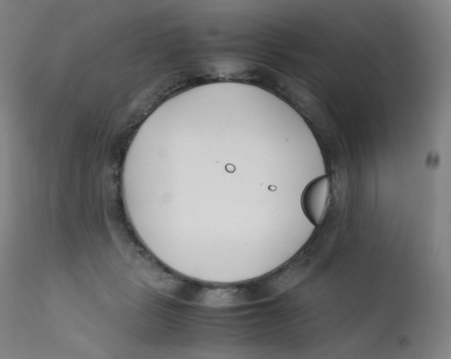 X0000112170461200909041155