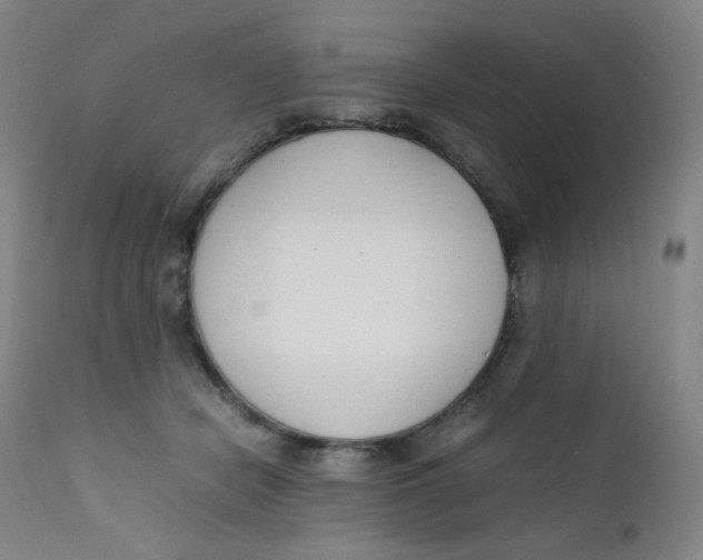 X0000112170462200909041155