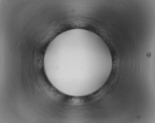 X0000112170464200909041155